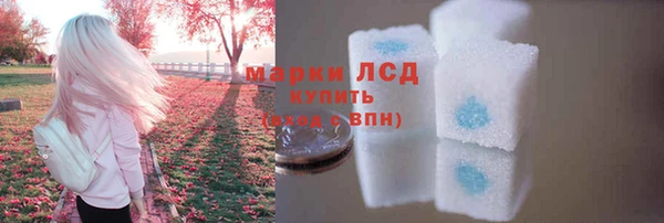 a pvp Белокуриха