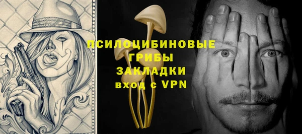 молекула духа Семёнов