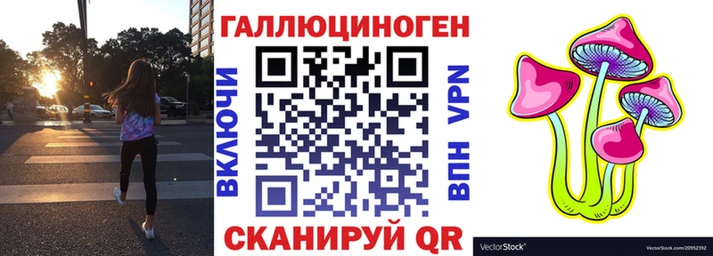 хочу   Гудермес  Галлюциногенные грибы Magic Shrooms 