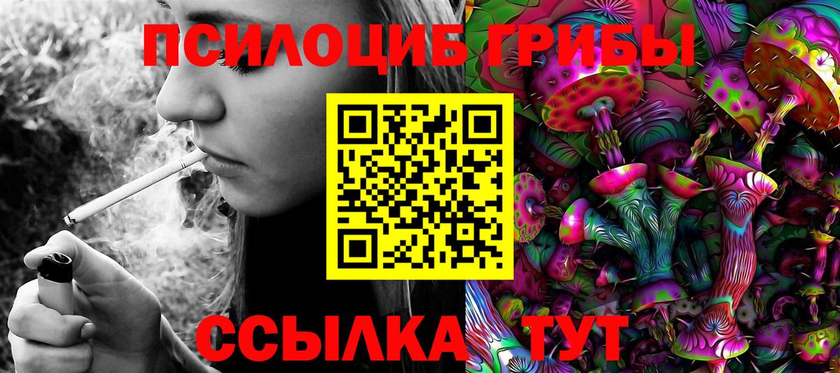 где продают наркотики  Вход с VPN  Гудермес  Псилоцибиновые грибы Psilocybine cubensis  Галлюциногенные грибы GOLDEN TEACHER 