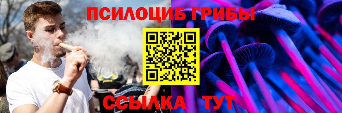 Псилоцибиновые грибы GOLDEN TEACHER Гудермес