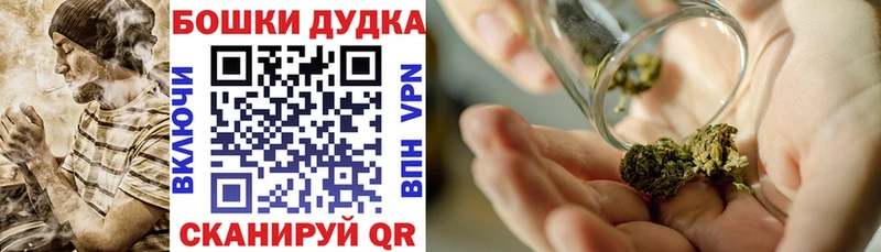 Каннабис индика  Гудермес 