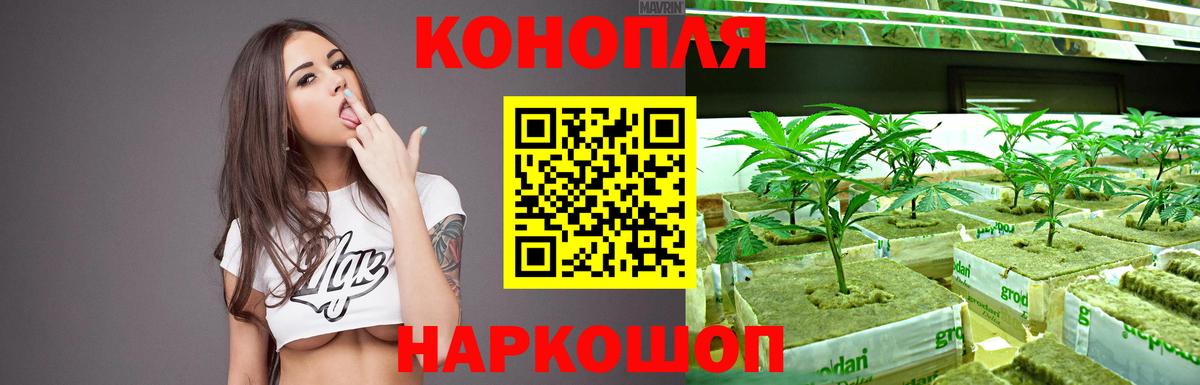 Канабис конопля  Марихуана Bruce Banner  Каннабис планчик  Гудермес  Вход с VPN  Бошки марихуана сатива 